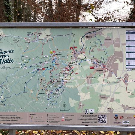 Gite Au Nid De L'Ecureuil Boersch Zewnętrze zdjęcie
